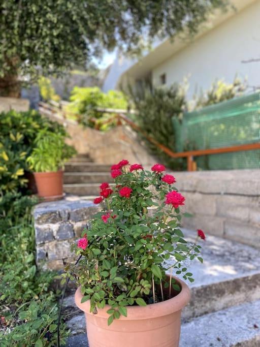 Villa Kamari-Cretan Style Apartment Kritsá Zewnętrze zdjęcie